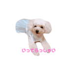 ろーちゃんとまいにち（個別スタンプ：9）