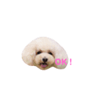 ろーちゃんとまいにち（個別スタンプ：11）
