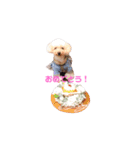 ろーちゃんとまいにち（個別スタンプ：12）