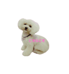 ろーちゃんとまいにち（個別スタンプ：24）