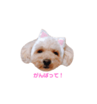 ろーちゃんとまいにち（個別スタンプ：25）