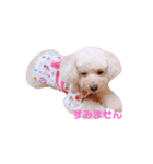 ろーちゃんとまいにち（個別スタンプ：30）