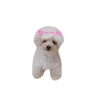 ろーちゃんとまいにち（個別スタンプ：31）