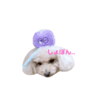 ろーちゃんとまいにち（個別スタンプ：32）
