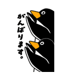 ペンギンカフェBIGスタンプ（個別スタンプ：33）