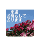 ほのぼの ほのん お花編（個別スタンプ：14）