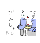 え？ねこ（個別スタンプ：26）