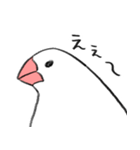 ゆるりと文鳥（個別スタンプ：4）