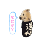 ☆秋田犬の華ちゃん③☆（個別スタンプ：12）