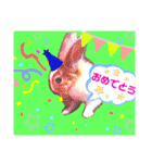 マロン（うさぎ）のスタンプ②（個別スタンプ：2）