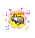 マロン（うさぎ）のスタンプ②（個別スタンプ：6）