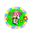 マロン（うさぎ）のスタンプ②（個別スタンプ：7）