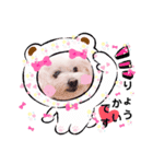 しろいふわふわんわん2（個別スタンプ：8）