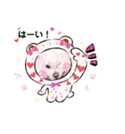 しろいふわふわんわん2（個別スタンプ：9）