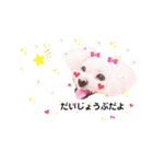 しろいふわふわんわん2（個別スタンプ：22）