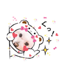 しろいふわふわんわん2（個別スタンプ：37）