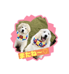 のえたん＆くれたんスタンプ（個別スタンプ：11）