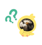 Riki243s #4（個別スタンプ：2）