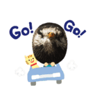 Riki243s #4（個別スタンプ：13）