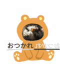 Riki243s #4（個別スタンプ：15）