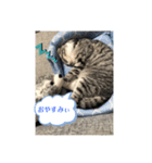 蘭丸まる 9（個別スタンプ：8）
