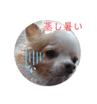 武居familiar6（個別スタンプ：4）