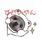 武居familiar6（個別スタンプ：8）