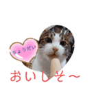 武居familiar6（個別スタンプ：12）