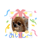 武居familiar6（個別スタンプ：15）