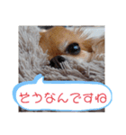 武居familiar6（個別スタンプ：25）