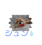 武居familiar6（個別スタンプ：26）