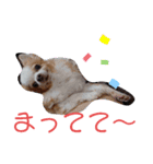 武居familiar6（個別スタンプ：32）