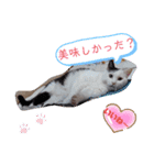武居familiar6（個別スタンプ：36）