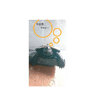 亀の毎日2（個別スタンプ：4）