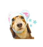 ライト動物病院ver.3（個別スタンプ：8）