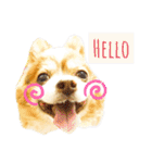 ライト動物病院ver.3（個別スタンプ：12）
