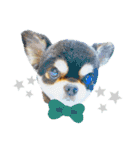 ライト動物病院ver.3（個別スタンプ：15）