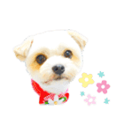 ライト動物病院ver.3（個別スタンプ：22）