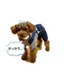 Soraくんです！（個別スタンプ：2）