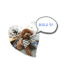 Soraくんです！（個別スタンプ：4）