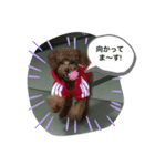Soraくんです！（個別スタンプ：5）