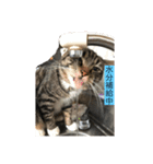 どんみー（個別スタンプ：4）