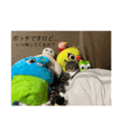 どんみー（個別スタンプ：8）