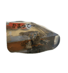 アカミミガメの生活（個別スタンプ：5）