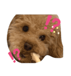 oyadog（個別スタンプ：6）