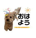 oyadog（個別スタンプ：7）