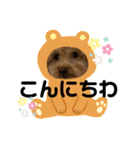 oyadog（個別スタンプ：9）