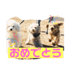 oyadog（個別スタンプ：18）