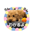 oyadog（個別スタンプ：21）