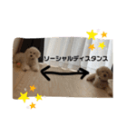 oyadog（個別スタンプ：22）